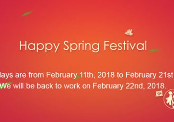 Holiday Notice of Spring Festival